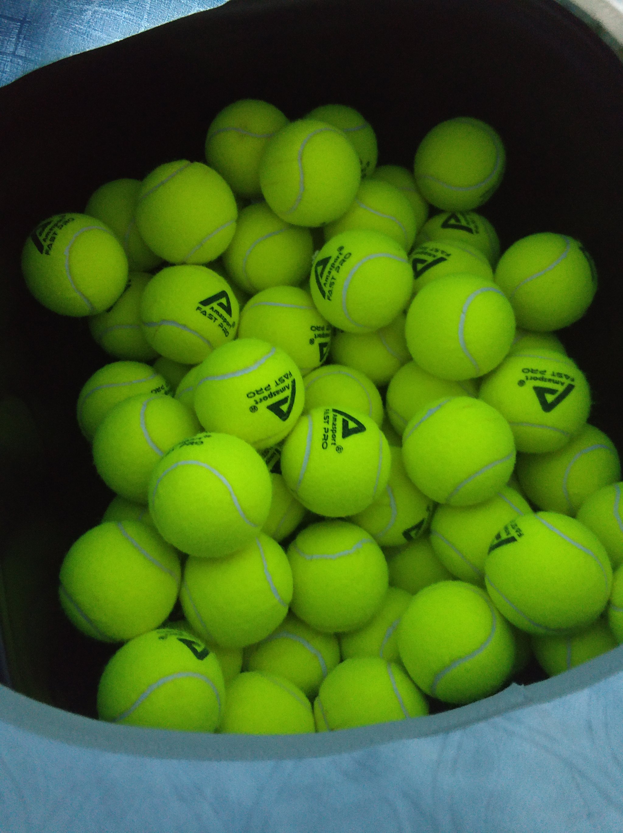 比赛中缺席 比赛中缺席